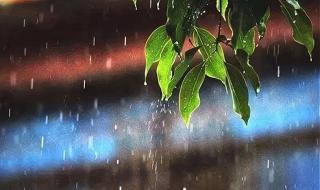 入伏下雨有什么说法吗 入伏下雨有什么说法吗
